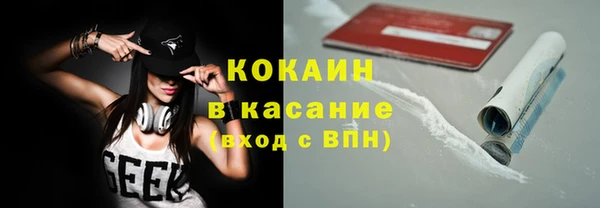 прущая мука Пересвет
