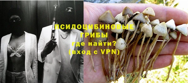прущая мука Пересвет
