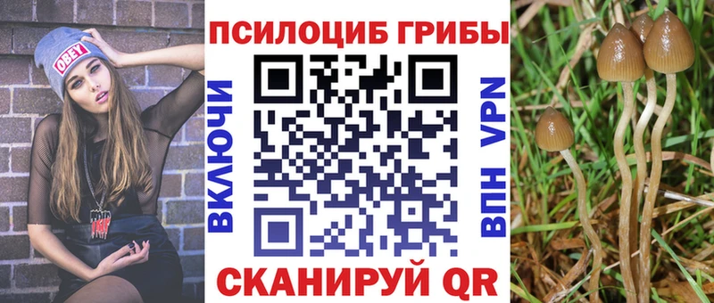 где купить   Ясногорск  Галлюциногенные грибы мухоморы 